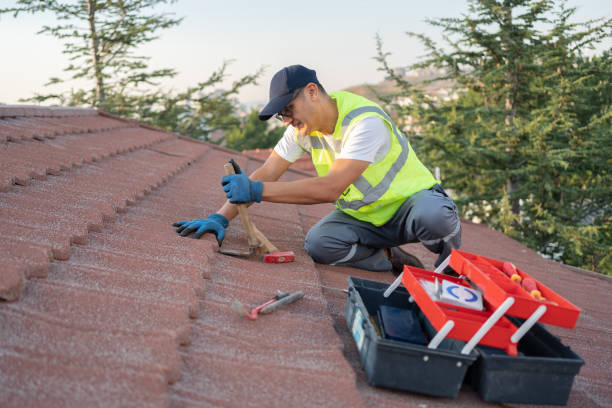 Best Roof Waterproofing Services  in Montezuma, GA